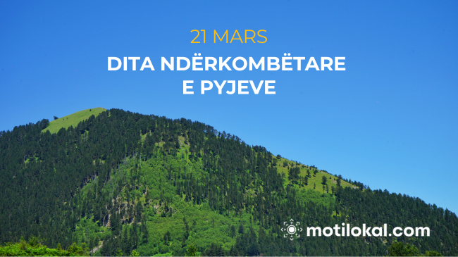 Sot shënohet Dita Ndërkombëtare e Pyjeve