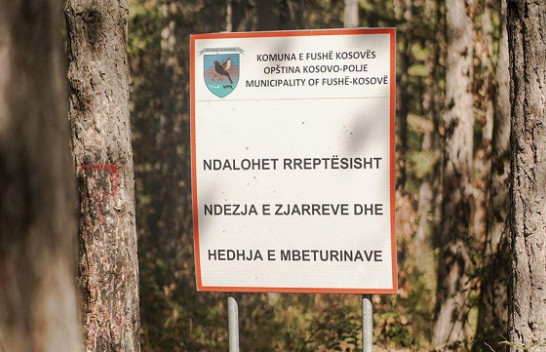 Kosova shënon Ditën Ndërkombëtare të Pyjeve