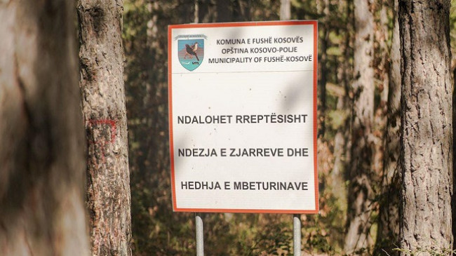 Kosova shënon Ditën Ndërkombëtare të Pyjeve