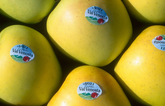 Çfarë tregojnë etiketat në fruta? Zbulojeni kuptimin e kodeve