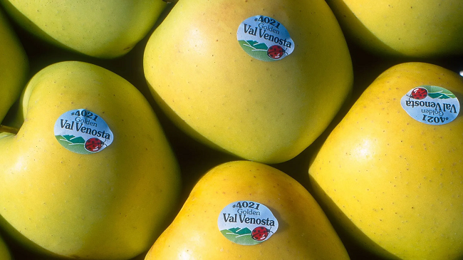 Çfarë tregojnë etiketat në fruta? Zbulojeni kuptimin e kodeve