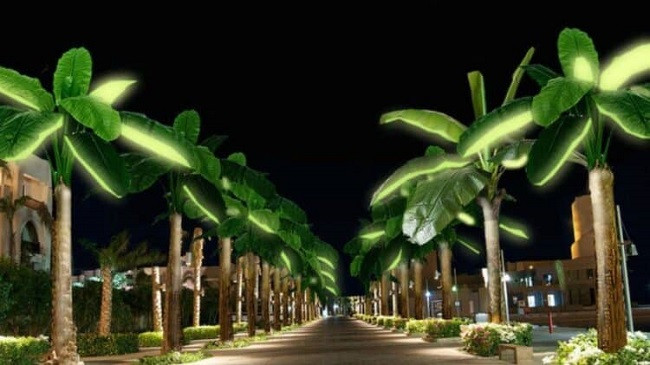 Dubai harron naftën: Tani po mbjell palma fotovoltaike që prodhojnë energji nga dielli