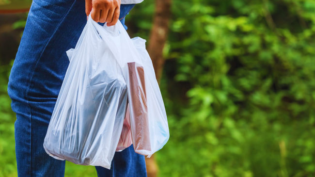 Bie importi i qeseve plastike, kursime prej miliona eurosh në vit