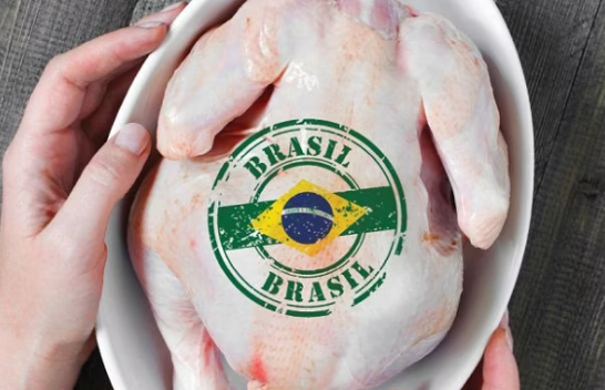 Kosova ndalon importin e mishit të pulës nga Brazili