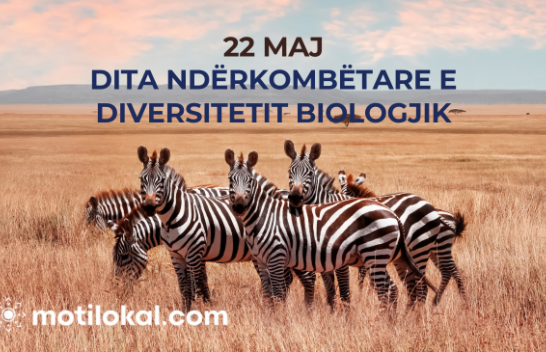 Sot shënohet Dita Ndërkombëtare për Diversitetin Biologjik