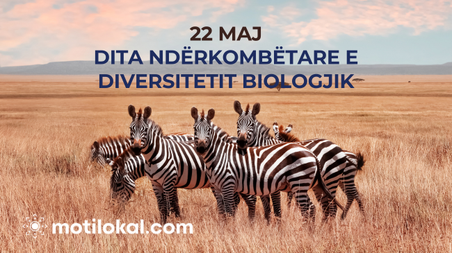 Sot shënohet Dita Ndërkombëtare për Diversitetin Biologjik