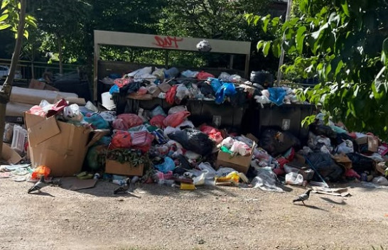 Kryeqyteti në kolaps higjienik – Prishtina nën rrethim nga mbeturinat!