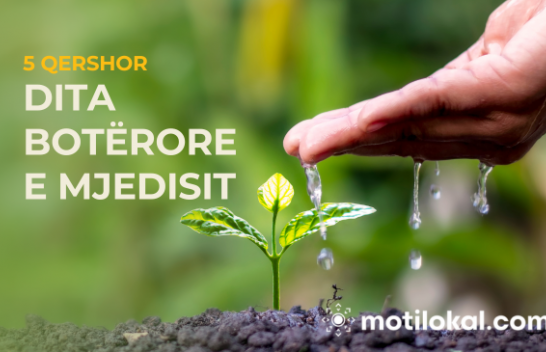 5 Qershori – Një thirrje globale për mbrojtjen e mjedisit