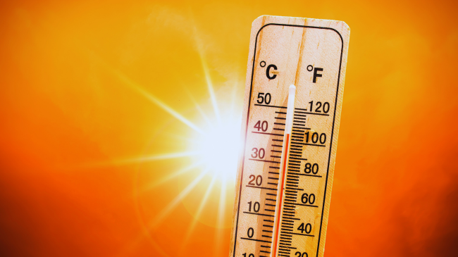 Parashikohen temperatura ekstreme në Shqipëri – Agjencia e Mbrojtjes Civile apelon për kujdes!