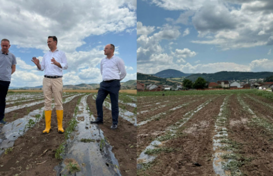 Ministri në detyrë i Bujqësisë viziton zonat e goditura nga breshri në Kllokot dhe Viti