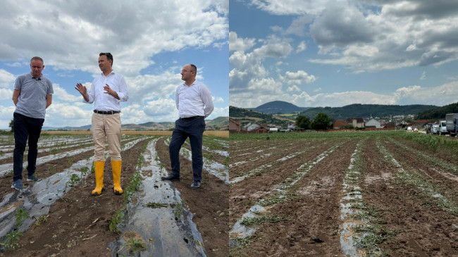 Ministri në detyrë i Bujqësisë viziton zonat e goditura nga breshri në Kllokot dhe Viti