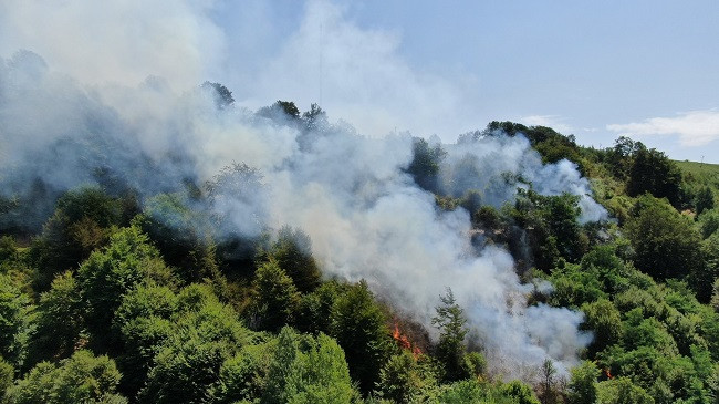 Zjarr i madh në Tugjec të Kamenicës/ PAMJE