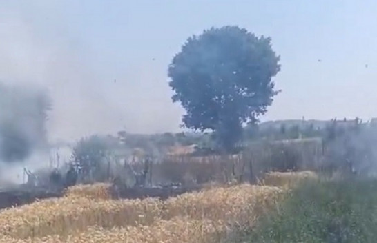 Komuna e Ferizajt në alarm: Zjarrfikësit luftojnë me flakët në katër fshatra