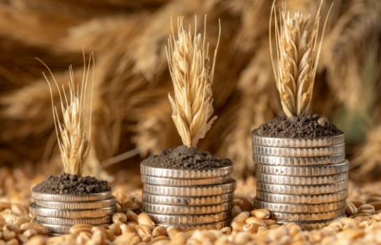 Mbi 17 milionë euro për fermerët – Peci jep lajmin e mirë