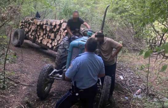 Tentuan të iknin me traktorin plot dru, por policia u zuri pritë