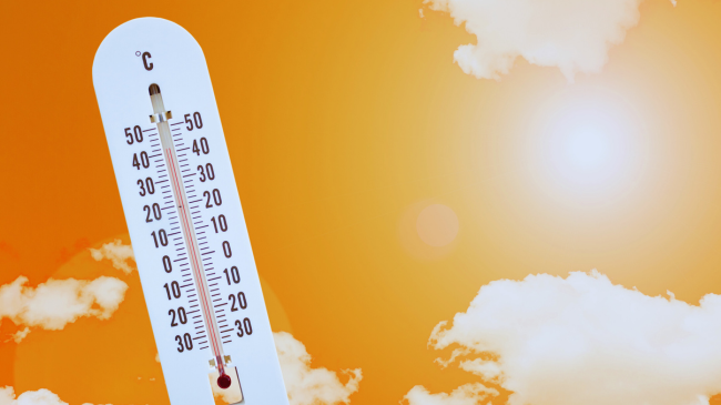 Temperatura përvëluese këtë javë, bëhet thirrje për kujdes të shtuar
