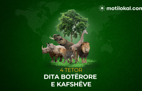 Dita Botërore e Kafshëve 2025: Një shekull angazhimi global