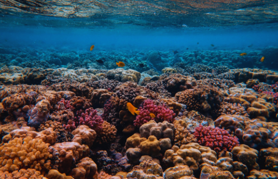 Bota në prag të katastrofës: Regjistrohet përmbysja e parë e klimës e shkaktuar nga ngrohja globale