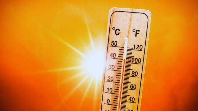 Çdo minutë në botë vdes një person nga rritja e temperaturave