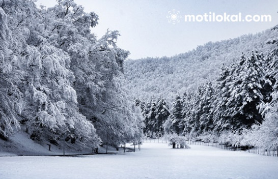 Bora dhe temperaturat e ulëta po vijnë drejt Evropës, po në Ballkan çfarë pritet?