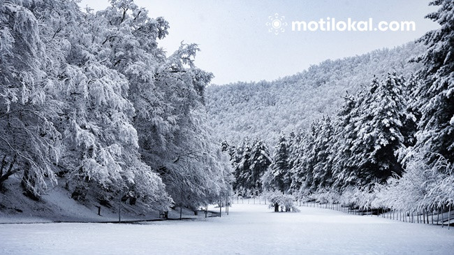 Bora dhe temperaturat e ulëta po vijnë drejt Evropës, po në Ballkan çfarë pritet?