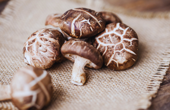 Shkencëtarët po i shndërrojnë kërpudhat Shiitake në kompjuterë