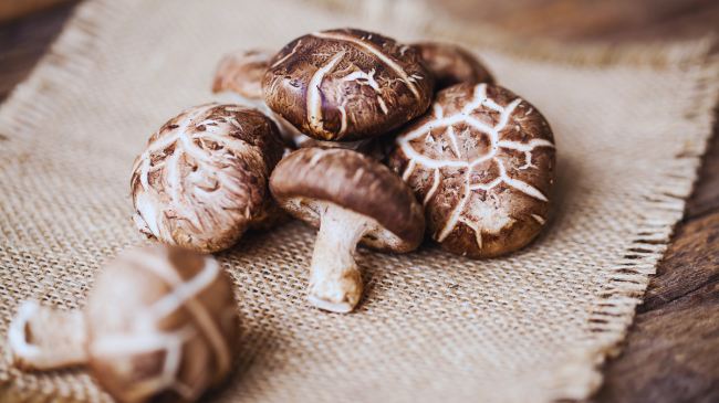 Shkencëtarët po i shndërrojnë kërpudhat Shiitake në kompjuterë