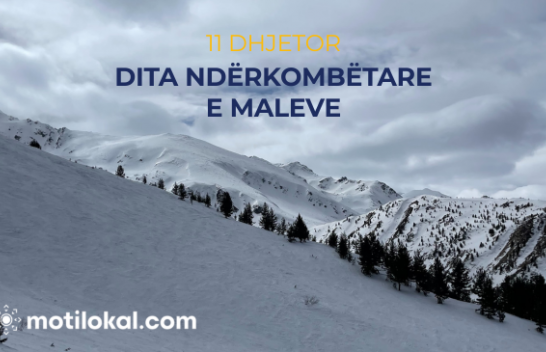 Gjithçka rreth Ditës Ndërkombëtare të Maleve: Tema dhe rëndësia