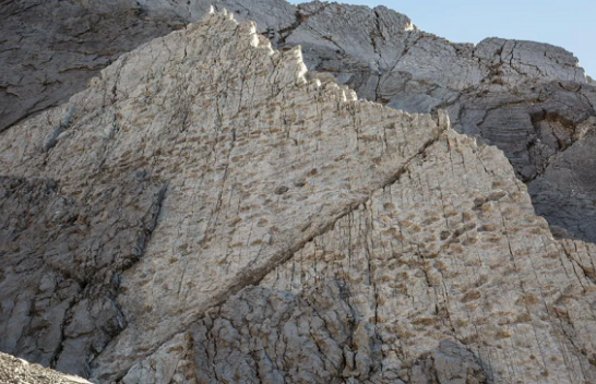 Mijëra gjurmë dinozaurësh gjenden në një mal italian