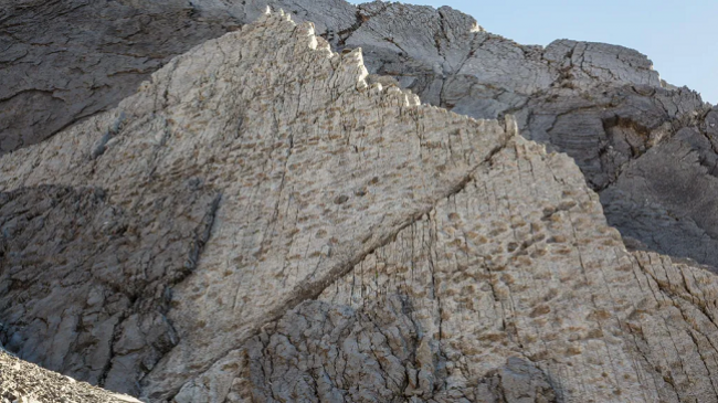 Mijëra gjurmë dinozaurësh gjenden në një mal italian