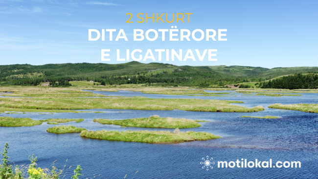 Sot është Dita Botërore e Ligatinave