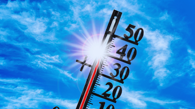 Janari 2026, muaji i pestë më i ngrohtë i regjistruar ndonjëherë