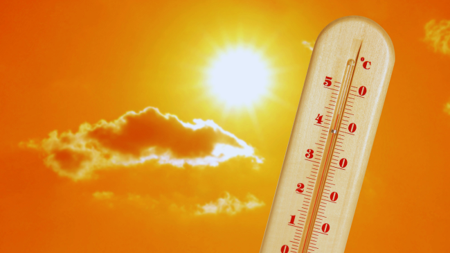 Viti 2025 ishte një nga vitet më të ngrohta në histori dhe situata po përkeqësohet