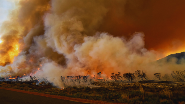 Ekspozimi ndaj tymit të zjarreve gjatë shtatzënisë lidhet me rrezikun e autizmit
