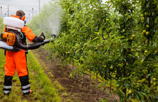 Përdorimi i sigurt i pesticideve, siguri për konsumatorët dhe mundësi për eksportin e produkteve në Evropë
