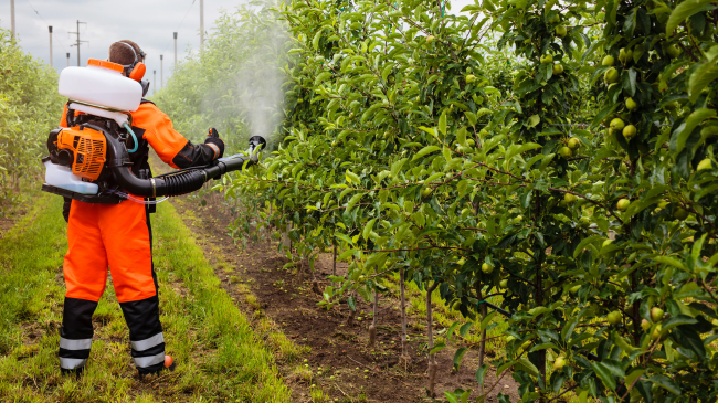 Përdorimi i sigurt i pesticideve, siguri për konsumatorët dhe mundësi për eksportin e produkteve në Evropë