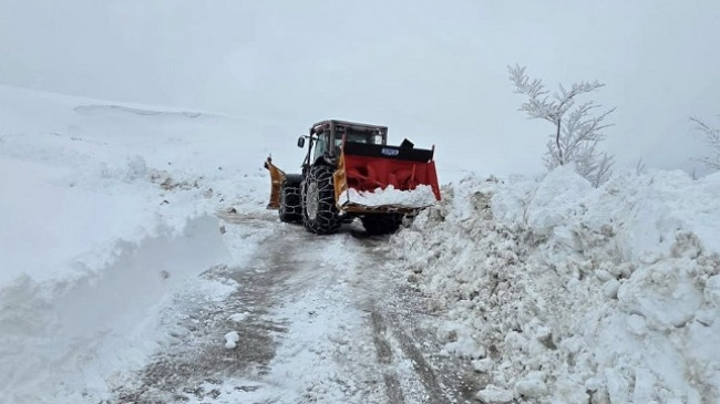 Kryetari i Korçës: Po punohet për pastrimin e borës në zonat malore