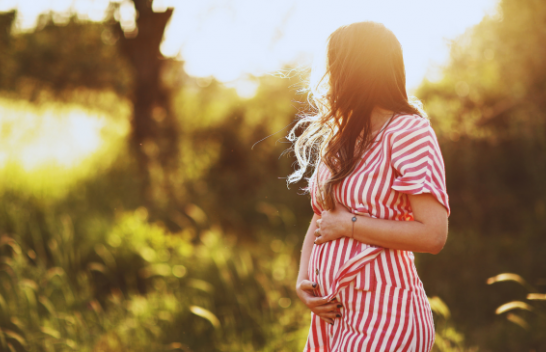 Trashëgimia toksike: Ekspozimi ndaj kimikateve gjatë shtatzënisë prek 20 breza