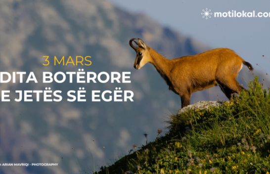 Shëndeti, trashëgimia dhe natyra në qendër të Ditës Botërore të Jetës së Egër