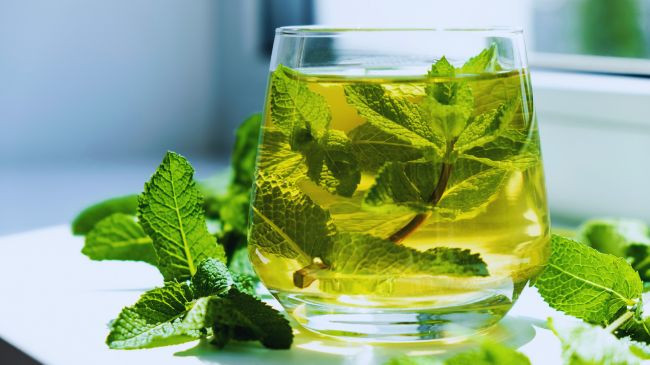 Shkencëtarët më në fund kanë zbuluar pse menta jep një ndjesi freskie