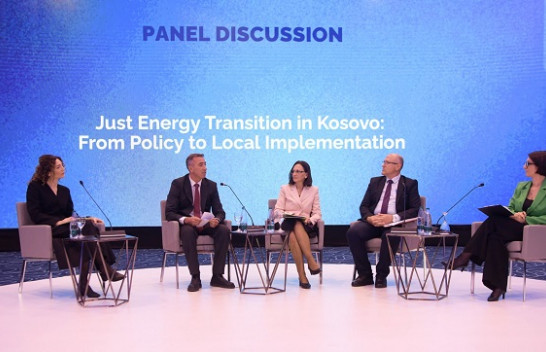 Sekretarja e Ministrisë së Ekonomisë prezanton reformat për tranzicion të drejtë energjetik në panelin e Javës së Gruas