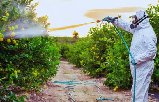 Përdorimi i pesticideve lidhet me më shumë raste kanceri