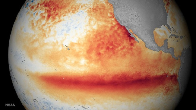 El Niño mund të kthehet që në maj dhe të sjellë probleme
