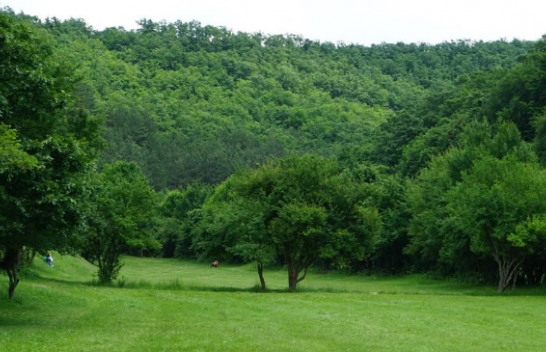Për 1 maj, ndalohet qarkullimi i automjeteve drejt Parkut të Gërmisë