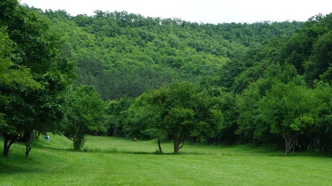 Për 1 maj, ndalohet qarkullimi i automjeteve drejt Parkut të Gërmisë