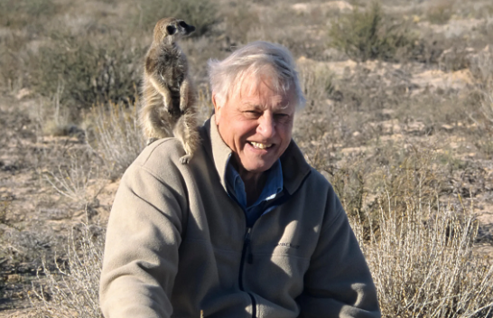 100 vjet Sir David Attenborough: Zëri i natyrës që nuk plaket