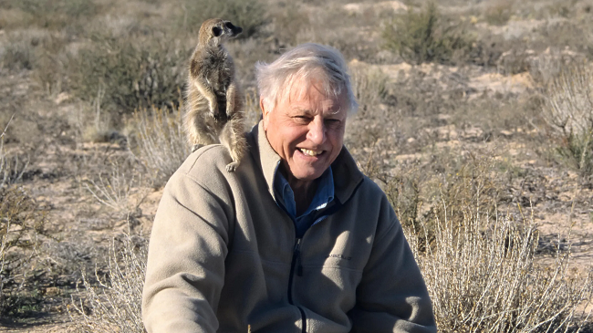 100 vjet Sir David Attenborough: Zëri i natyrës që nuk plaket