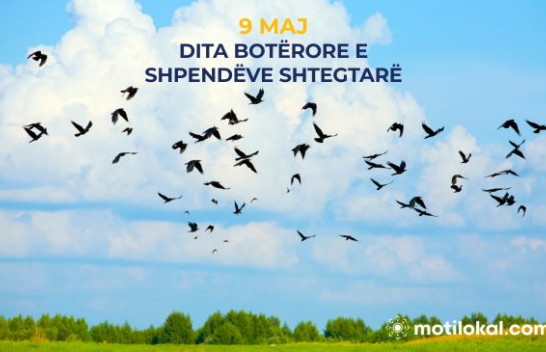 9 Maj - Dita Botërore e Shpendëve Shtegtarë