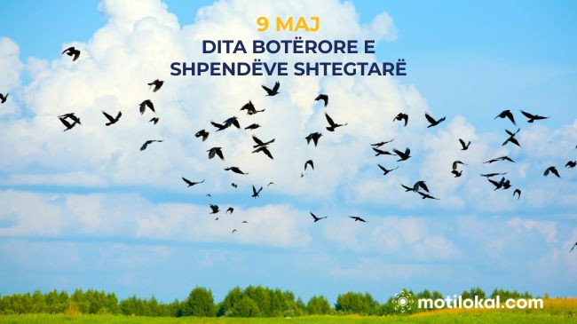 9 Maj - Dita Botërore e Shpendëve Shtegtarë