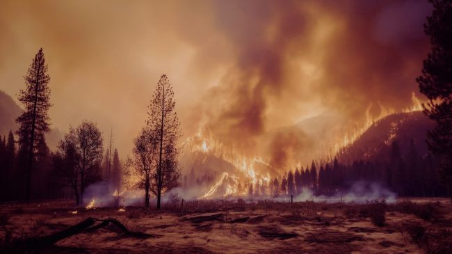 El Niño më i fortë i regjistruar ndonjëherë po zien - Ja çfarë mund të ndodhë
